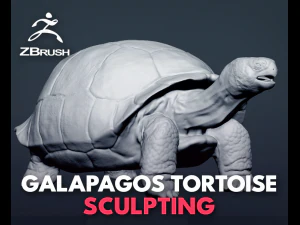 Żółw galapagos - rzeźba Model 3D