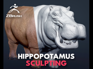 hippopotamus - sculpt 3D Model