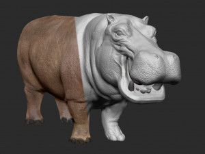 hippopotamus - sculpt Modello 3D