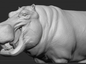 hippopotamus - sculpt 3D Model