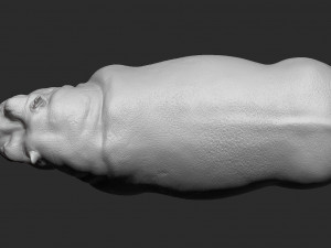 hippopotamus - sculpt Modello 3D