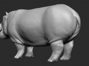 hippopotamus - sculpt Modello 3D