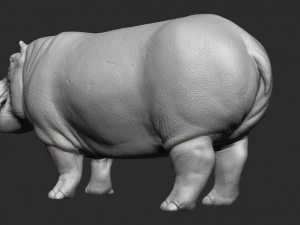 hippopotamus - sculpt 3D Model