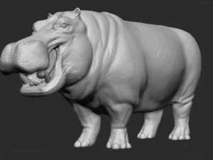 hippopotamus - sculpt 3D Model