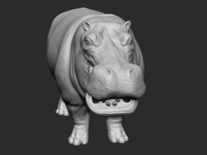 hippopotamus - sculpt Modello 3D