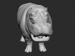 hippopotamus - sculpt 3D Model