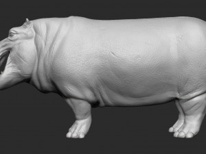 hippopotamus - sculpt Modello 3D
