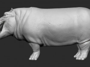 hippopotamus - sculpt 3D Model
