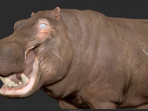 hippopotamus - sculpt 3D Model