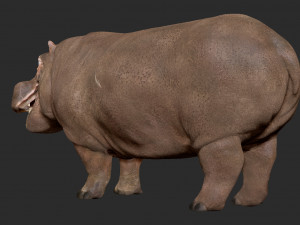 hippopotamus - sculpt Modello 3D
