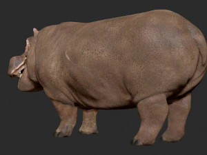 hippopotamus - sculpt 3D Model