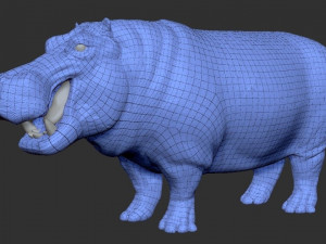 hippopotamus - sculpt Modello 3D