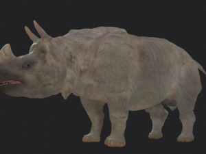 Indian rhinoceros - sculpt 3D Model