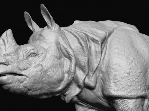Indian rhinoceros - sculpt 3D Model
