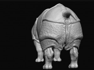Indian rhinoceros - sculpt 3D Model