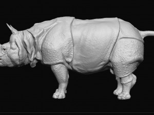 Indian rhinoceros - sculpt 3D Model