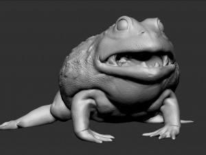 pixie frog - sculpt Modelo 3D