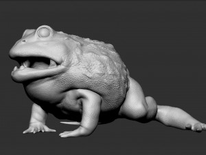 pixie frog - sculpt Modelo 3D