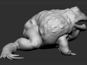 pixie frog - sculpt Modelo 3D
