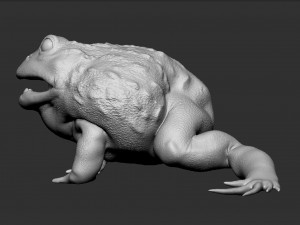 pixie frog - sculpt Modelo 3D