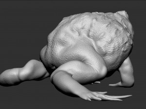 pixie frog - sculpt Modelo 3D