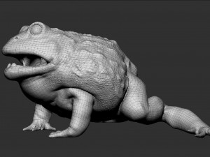 pixie frog - sculpt Modelo 3D