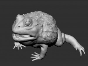 pixie frog - sculpt Modelo 3D