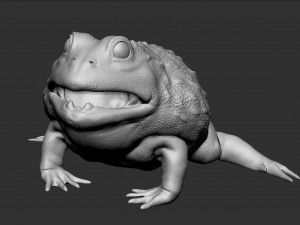 pixie frog - sculpt Modelo 3D