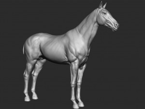 realistic horse - sculpt 3Dモデル