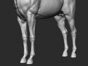 realistic horse - sculpt 3Dモデル