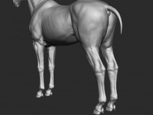 realistic horse - sculpt 3Dモデル