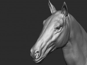 realistic horse - sculpt 3Dモデル