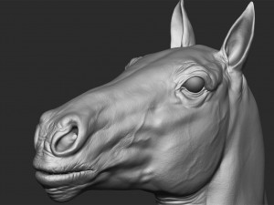 realistic horse - sculpt 3Dモデル