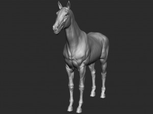 realistic horse - sculpt 3Dモデル
