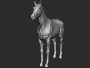 realistic horse - sculpt 3D Model