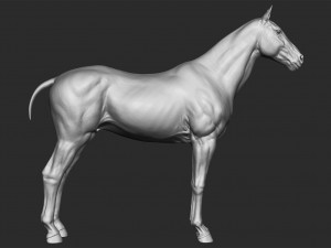 realistic horse - sculpt 3Dモデル