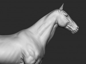 realistic horse - sculpt 3Dモデル
