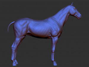 realistic horse - sculpt 3Dモデル