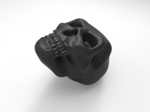 calabera 3D Model
