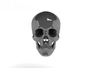head skull c4d 3D-Modell