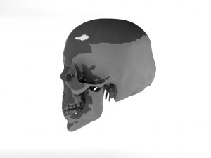 head skull c4d Modelo 3D