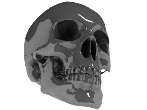 head skull c4d Modelo 3D
