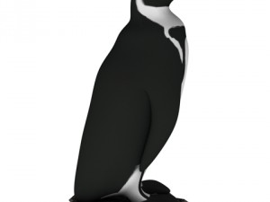 penguin c4d Modèle 3D