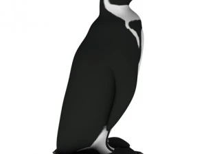penguin c4d 3D Model