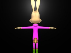 rabbit Model 3D