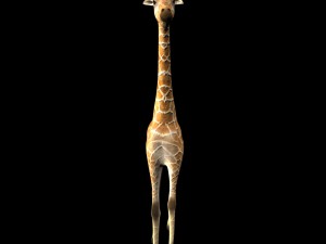 girafee Modello 3D