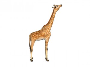girafee 3D मॉडल