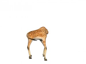 girafee 3D मॉडल
