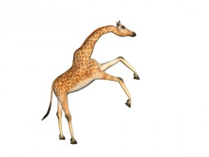 girafee 3D मॉडल