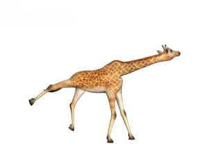 girafee 3D मॉडल